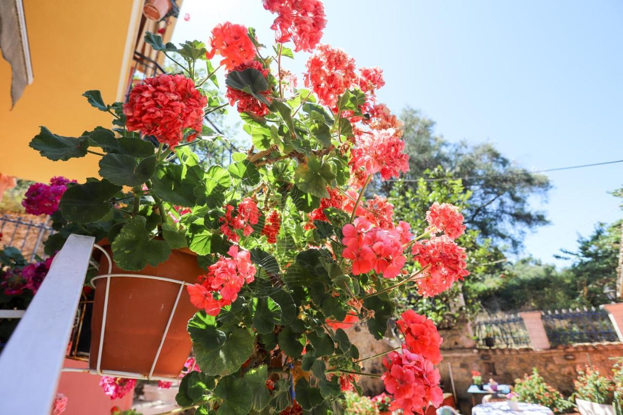 Alexis & Loula Village House Arkadades Dış mekan fotoğraf