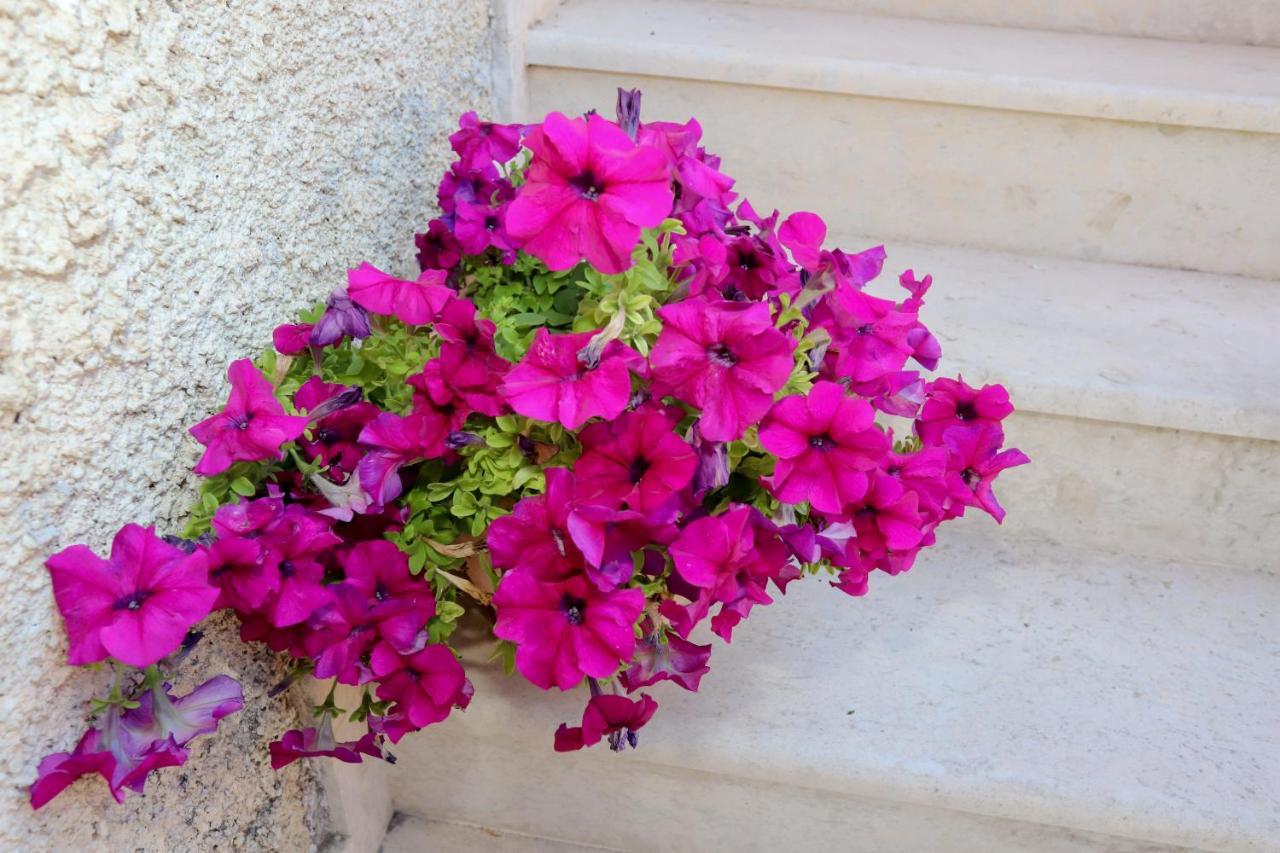 Alexis & Loula Village House Arkadades Dış mekan fotoğraf